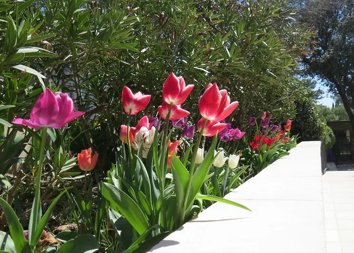 Le Castel Konukevi Nîmes